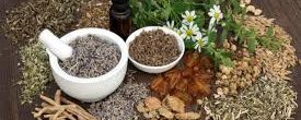 Healing Herbs For Anxiety & Stress