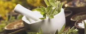 Herbal Safety