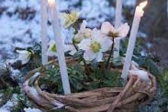 Imbolc 1.8