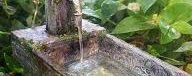 Making Fairy Water