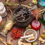 Powerful Herbs to Get You Through the Flu Season