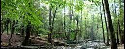 Respecting Nature and Energies