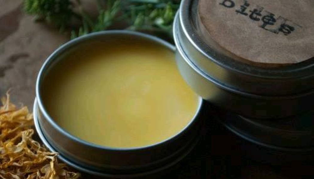 Essential Healing Salve Recipe