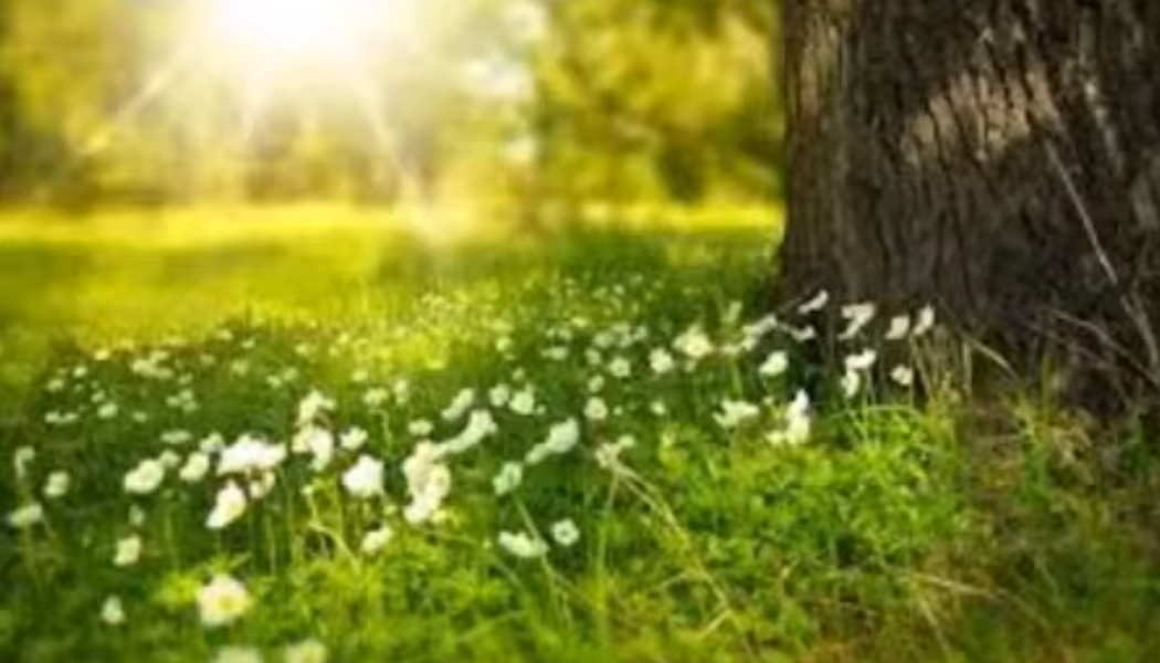 A Spring Equinox Cleaning Ritual