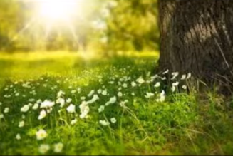 A Spring Equinox Cleaning Ritual