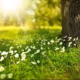 A Spring Equinox Cleaning Ritual