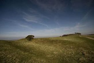 Chanctonbury Ring