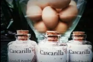 Cascarilla Powder