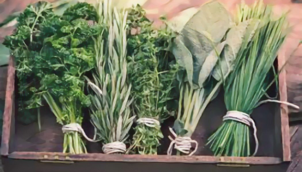 Flavoring With Herbs