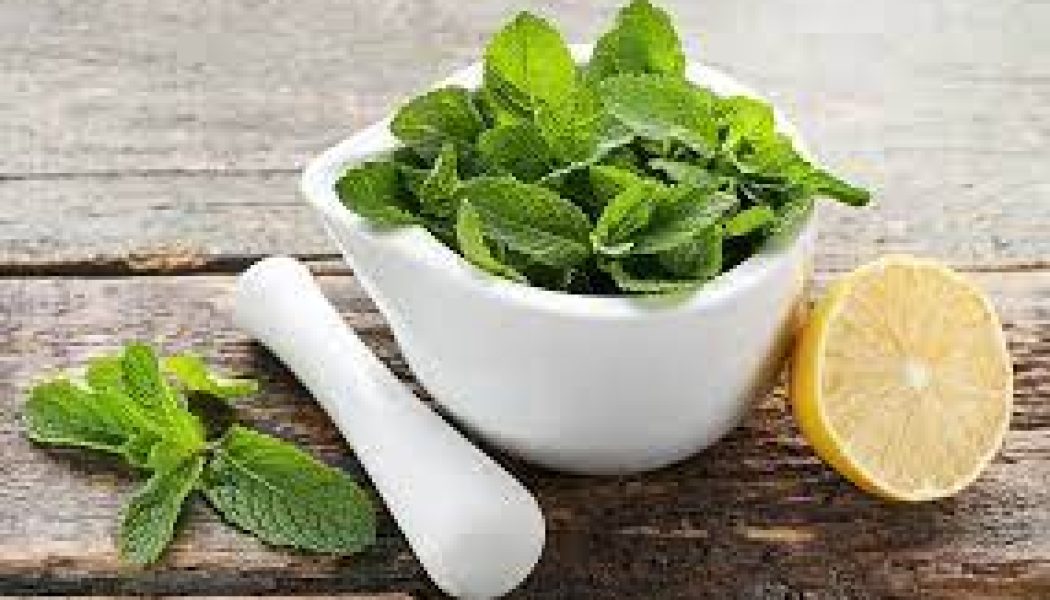 Herbal Cures for anxiety: LEMON BALM