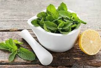 Herbal Cures for anxiety: LEMON BALM