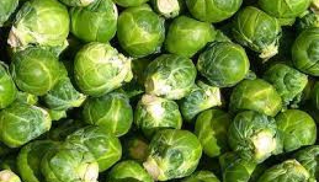 Kitchen Witch: Brussels Sprouts