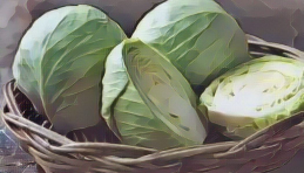 Kitchen Witch: Cabbage