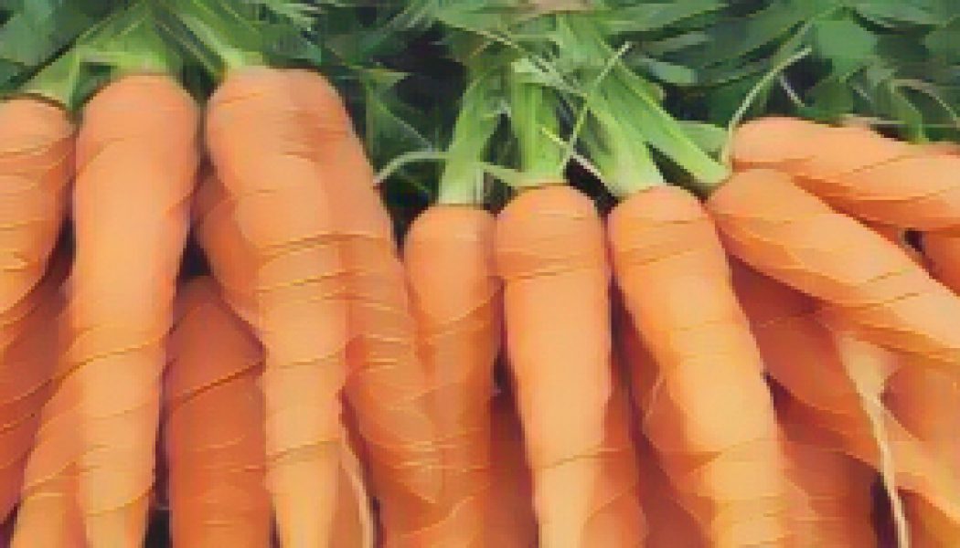 Kitchen Witch: Carrot