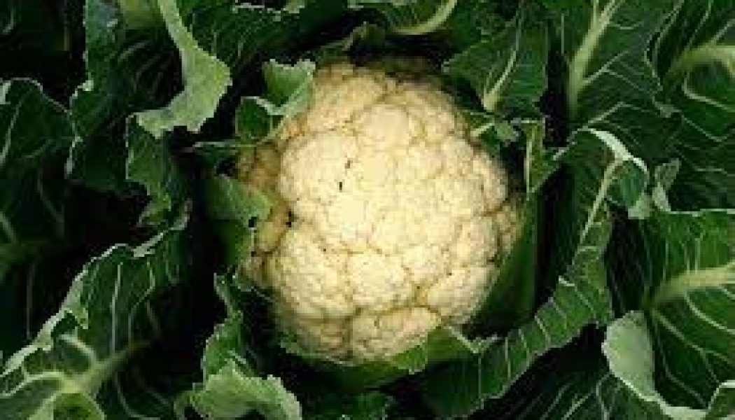 Kitchen Witch: Cauliflower