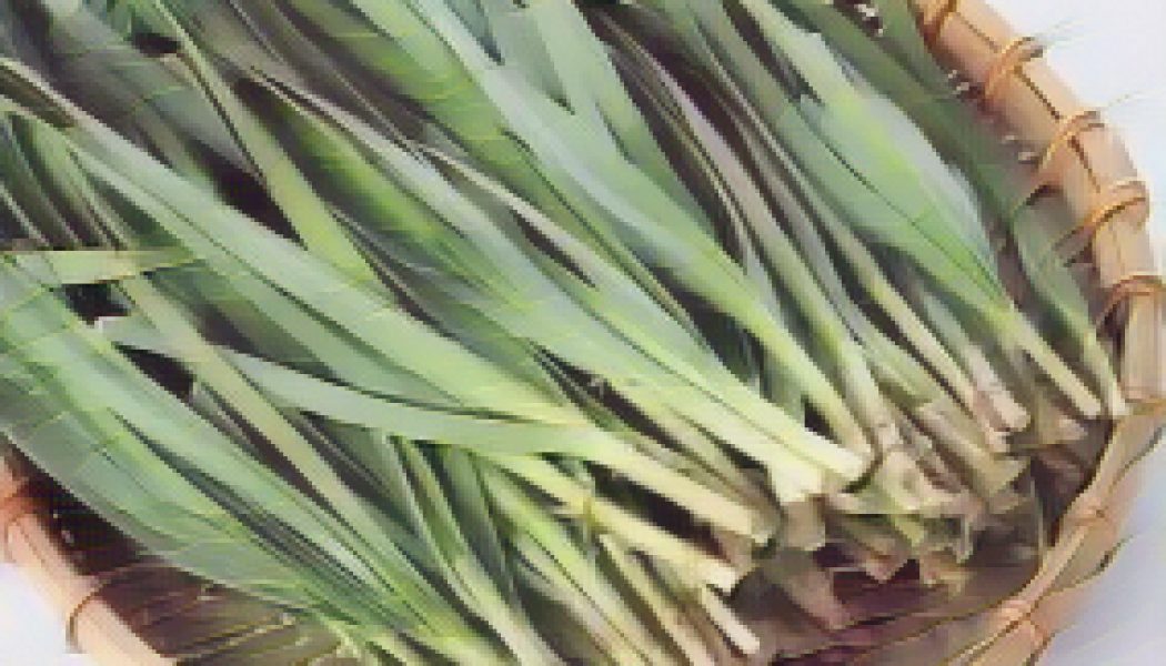 Kitchen Witch: Chives