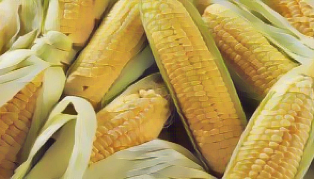 Kitchen Witch: Corn