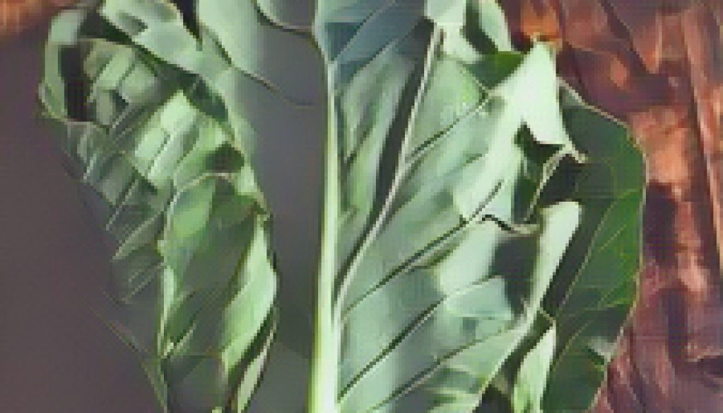 Kitchen Witch: Greens