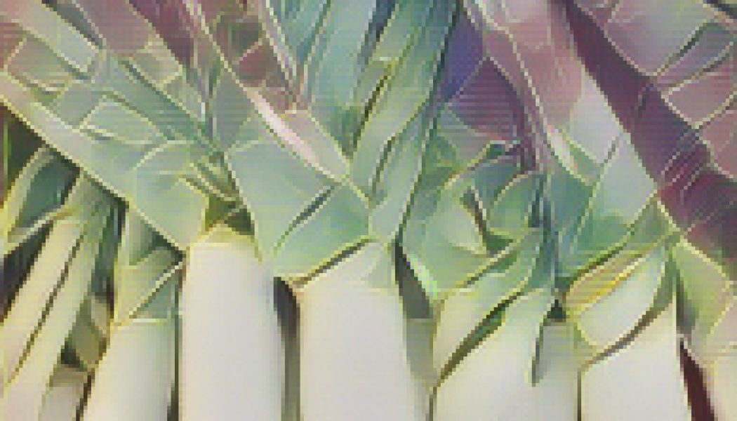 Kitchen Witch: Leek