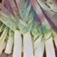 Kitchen Witch: Leek