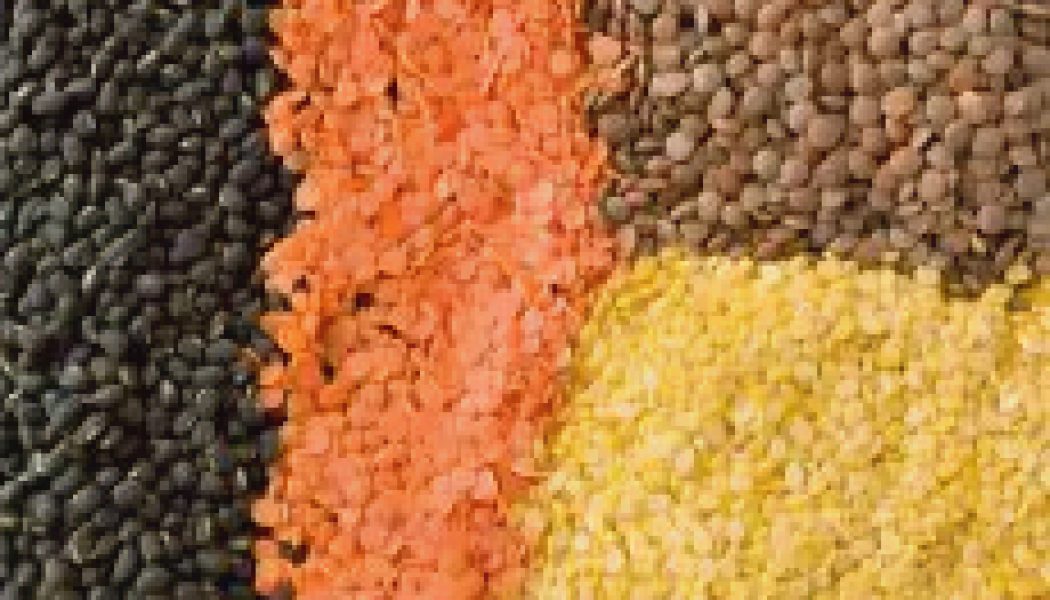 Kitchen Witch: Lentils