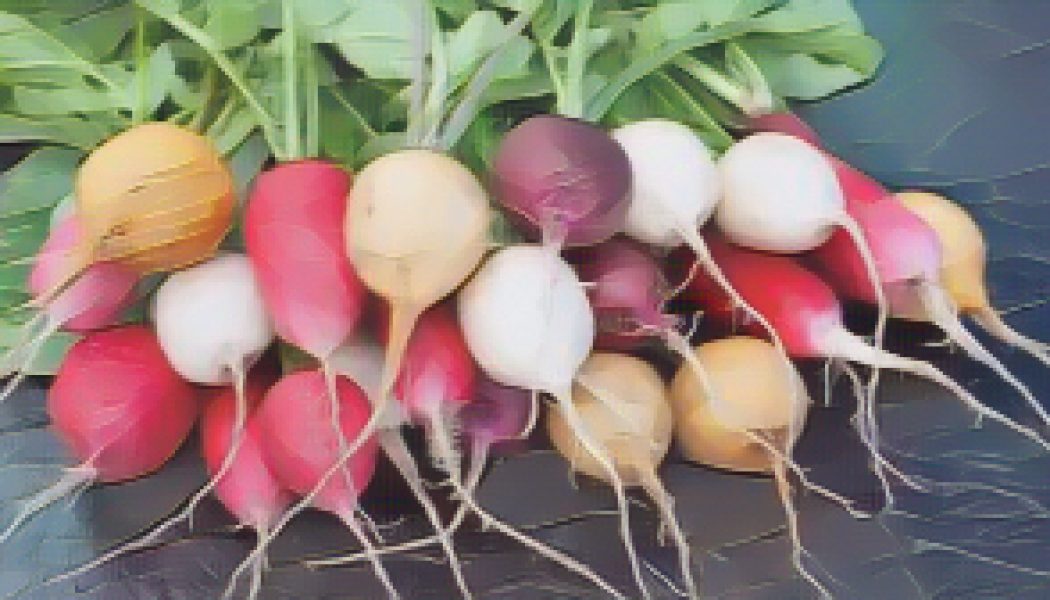 Kitchen Witch: Radish
