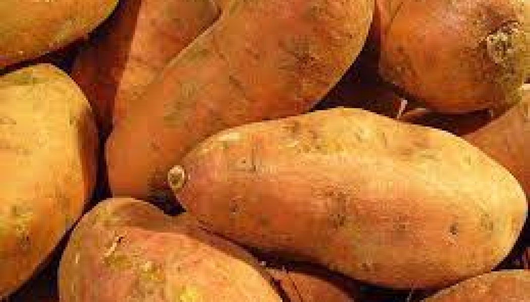 Kitchen Witch: Sweet Potato