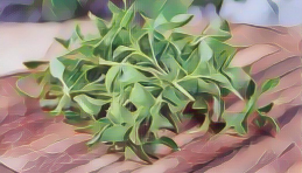 Kitchen Witch: Watercress