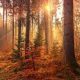 Mabon: A time to get back to Nature