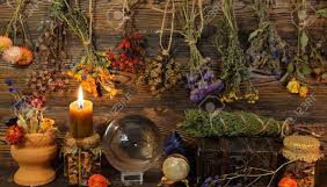 Magickal Uses for Herbs