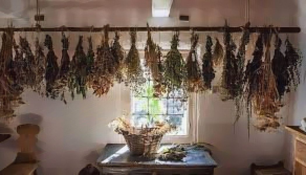 The Magick Of Herbs In the Kitchen