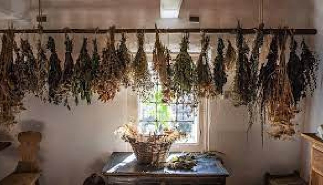 The Magick Of Herbs In the Kitchen