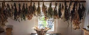 The Magick Of Herbs In the Kitchen