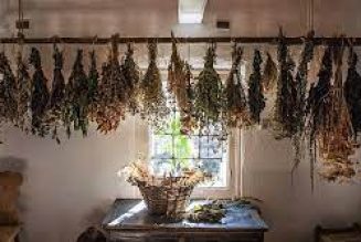 The Magick Of Herbs In the Kitchen