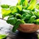 The Usage of Basil