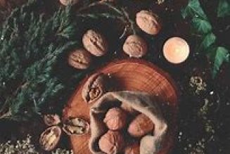 Winter Solstice Rites and Rituals for a Hedgewitch