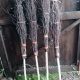 Witches Besom with Bristles Up