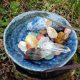 Cleansing and Charging Crystals