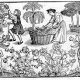 Folk Magick And Ritual Magick