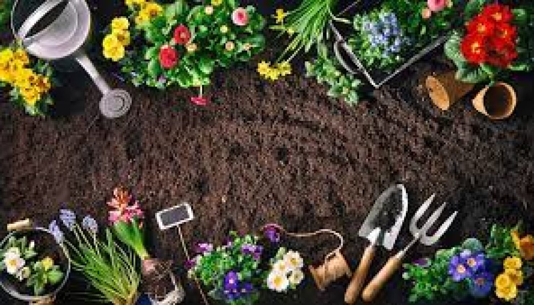Hedgewitches Spellwork: The Gardening Tools of Belief
