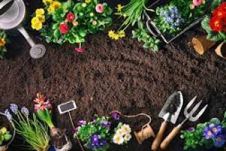 Hedgewitches Spellwork: The Gardening Tools of Belief