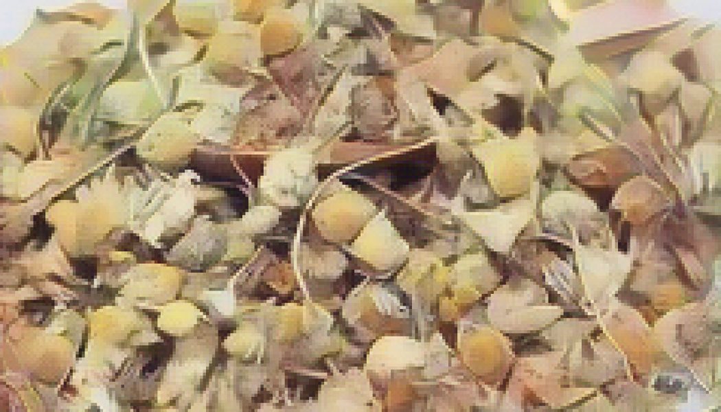 Herbal Cures for anxiety: CHAMOMILE