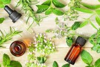 Natural Antibacterial Herbs