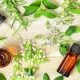 Natural Antibacterial Herbs