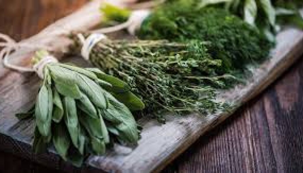 Powerful Healing Herbs in Your Kitchen