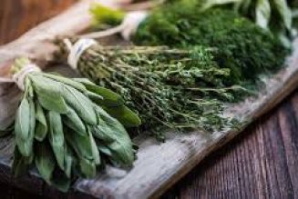 Powerful Healing Herbs in Your Kitchen