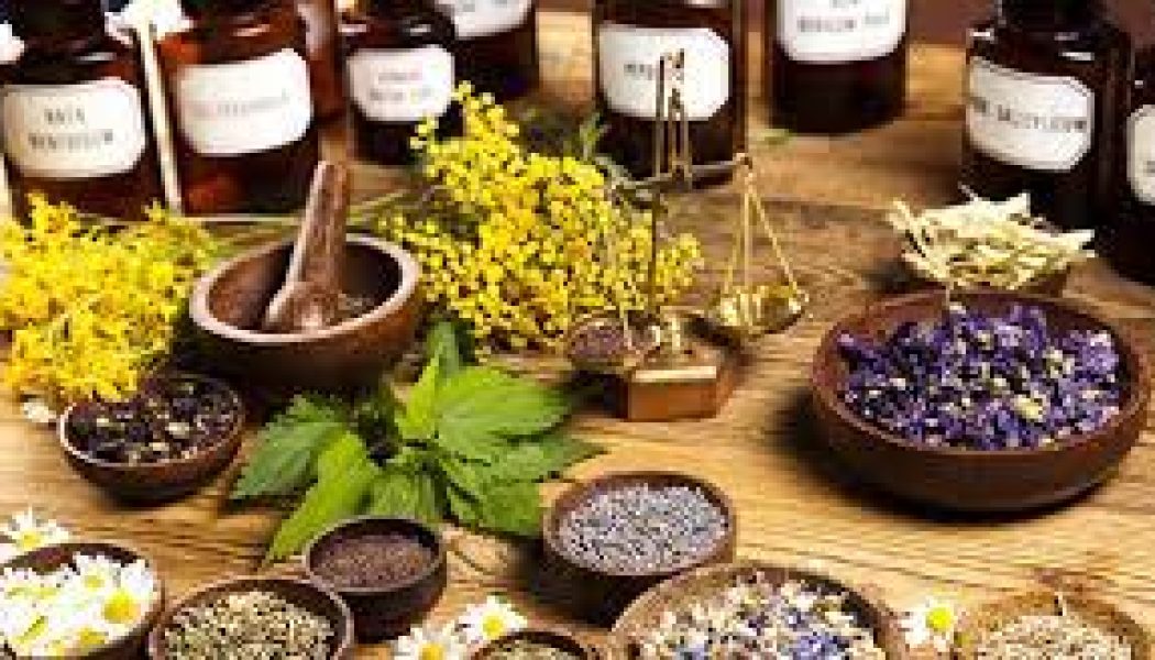 Some Reasons Herbs May Not Work