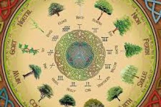 The Celtic Tree Calendar