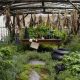 The Urban Herb Garden
