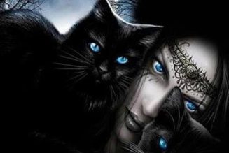 Black Cats and Witches